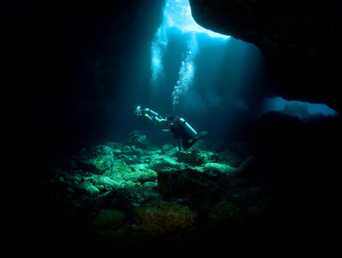 Shaped by fire, Hawaii's volcanic origins are evident in dramatic underwater topographies that include underwater lava tubes and domes for divers to explore