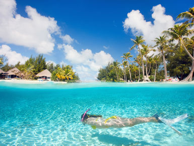 Hawaii’s natural beauty goes beyond its magnificent shorelines with beautiful reefs  for divers to explore