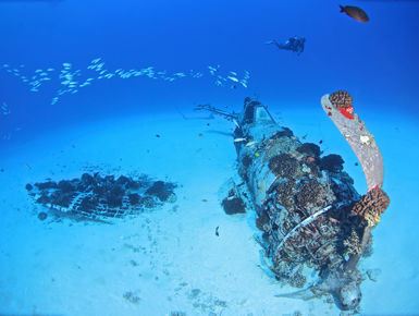 Hawaii’s natural beauty goes beyond its magnificent shorelines with beautiful reefs and the occasional mysterious wreck for divers to explore