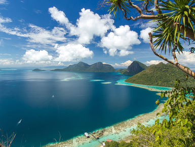 Along Malaysia’s shoreline offers the visitor the perfect transition where the wooded jungle meets the coral jungle as part of your scuba diving vacation