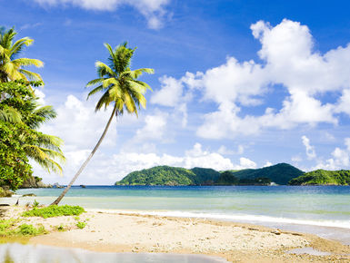 The coastline of Tobago’s Speyside region is as beautiful above water as they are underwater