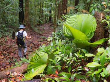 Hiking in Malaysia